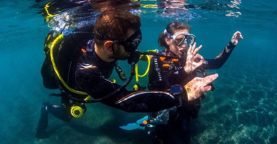 Santa Cruz de Tenerife: Beginner's Diving & Introduction - What this Santa Cruz scuba session is really like
