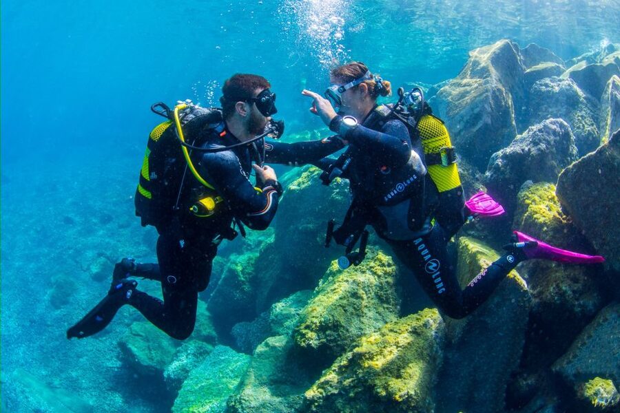 Santa Cruz de Tenerife: Beginner's Diving & Introduction - How much value do you get for $89?