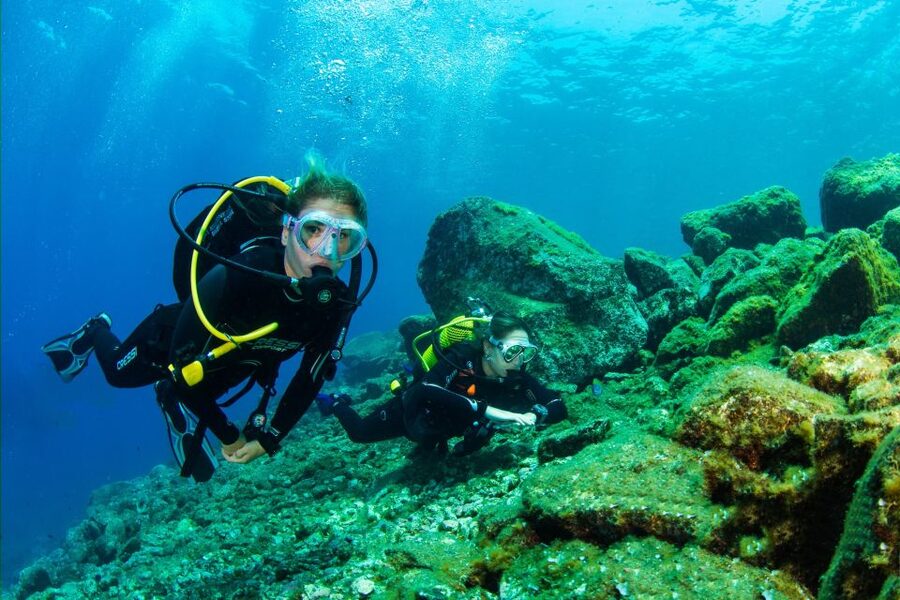 Santa Cruz de Tenerife: Beginner's Diving & Introduction - The first hour: equipment and confidence