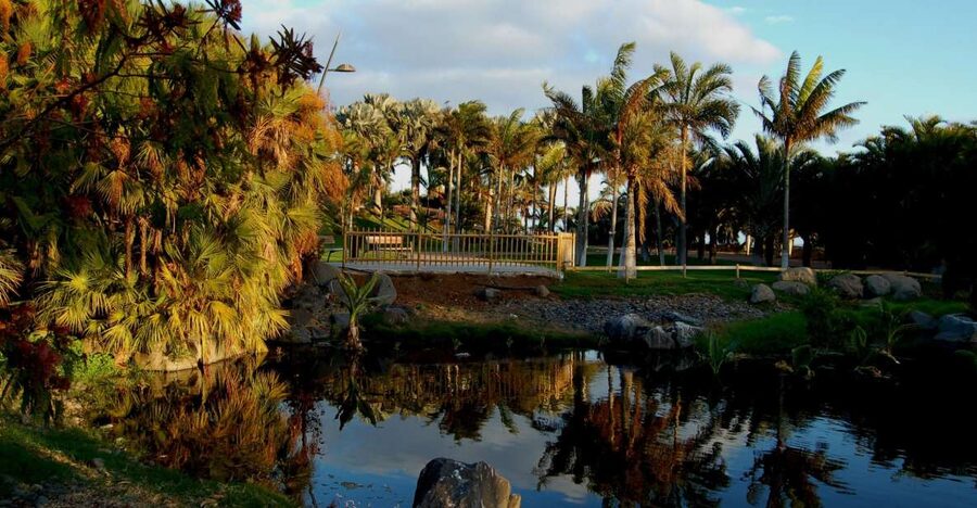 Santa Cruz de Tenerife Palmetum Entry Ticket - From rubbish mound to botanical garden