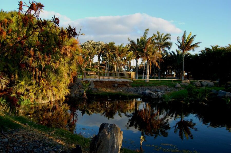 Santa Cruz de Tenerife Palmetum Entry Ticket - A walk shaped by water and volcanic stone