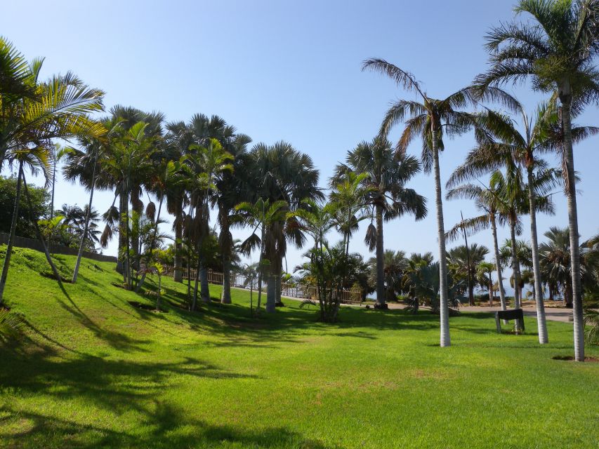 Santa Cruz de Tenerife Palmetum Entry Ticket - The palm collection is the main event