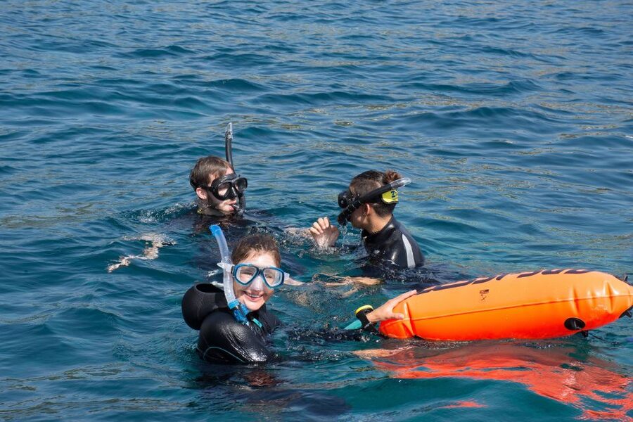 Santa Ponsa: Snorkeling Tour in a Marine Reserve - Why the marine reserve works for families