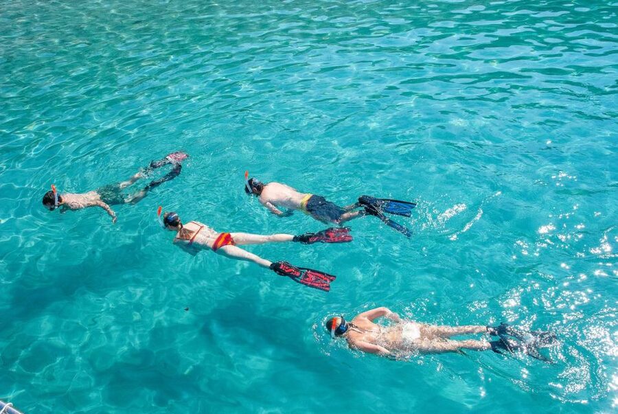 Santa Ponsa: Snorkeling Tour in a Marine Reserve - Returning to the center in Santa Ponsa