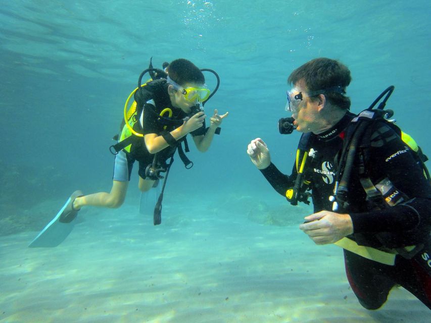 Santa Ponsa: Try Scuba Diving in a Marine Reserve - Who should book this activity