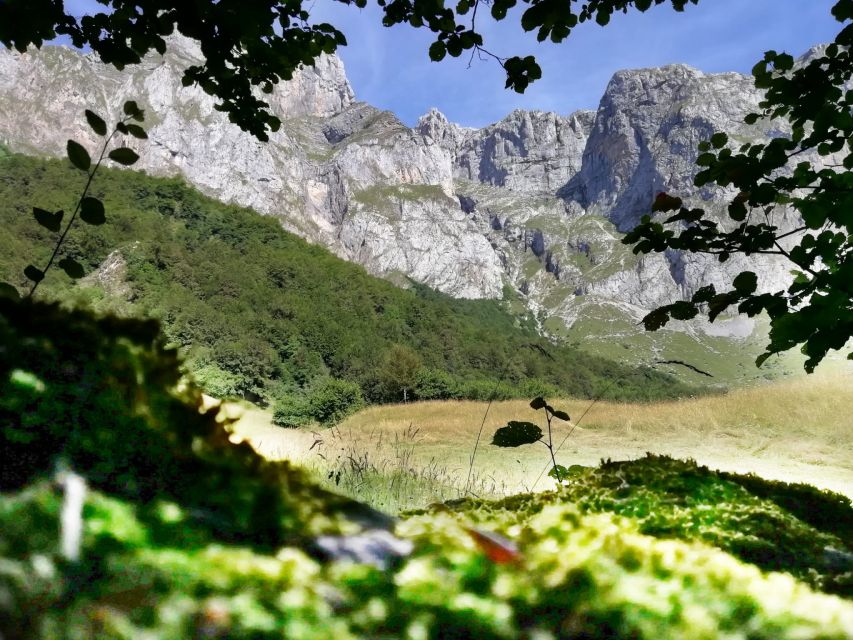Santander: Picos, Santo Toribio Monastery and Potes Day Tour - Cable car or horseback riding in summer?