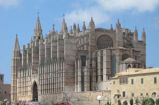 Segway Tour 1 Hour in Palma - Key points before you book