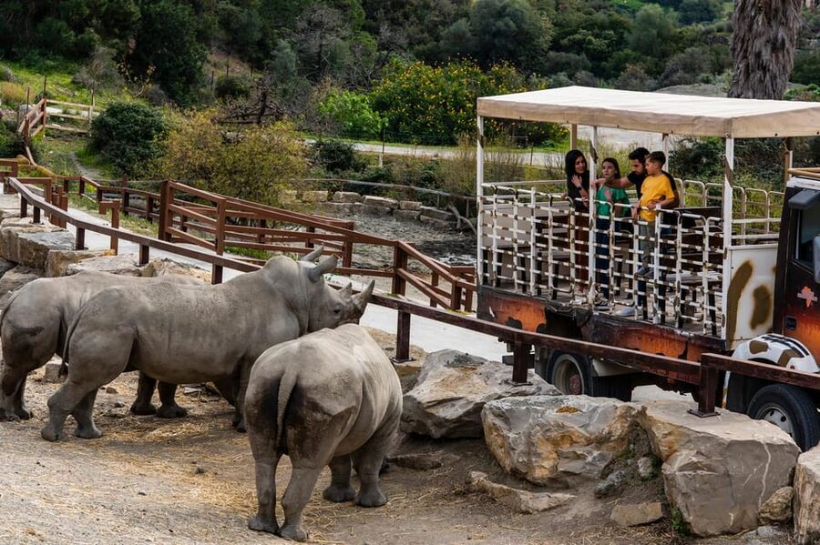 Selwo Aventura Admission Ticket with Skip-the-Line Access - A guide can make the safari more useful