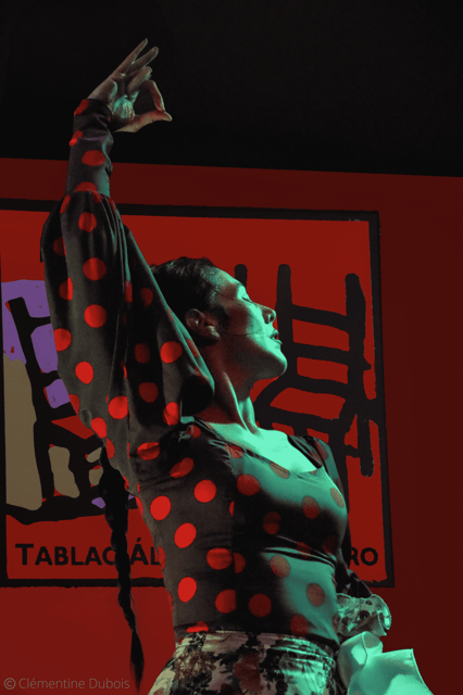 Sevilla: Flamenco Show at Tablao Álvarez Quintero - Entering a Seville house built for flamenco