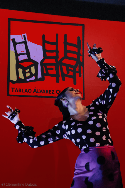 Sevilla: Flamenco Show at Tablao Álvarez Quintero - Is $29 a fair price?