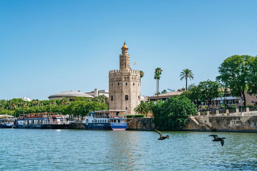 Seville: 1-Hour Guadalquivir River Sightseeing Eco Cruise - Commentary and Language Options