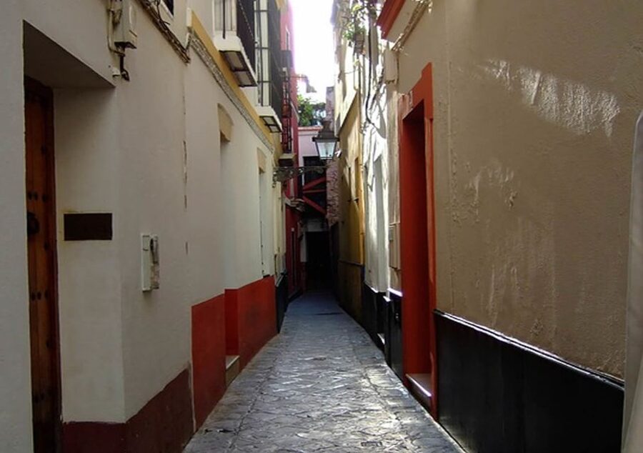 Seville: 1-Hour Walking Tour Barrio de Santa Cruz - Should you book this Seville walking tour?