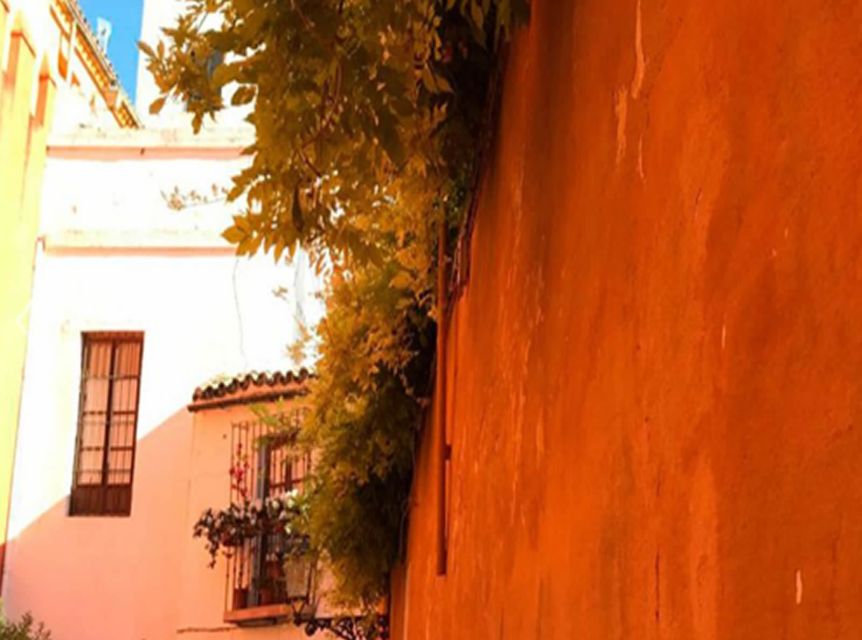 Seville: 1-Hour Walking Tour Barrio de Santa Cruz - From old streets to Metropol Parasol
