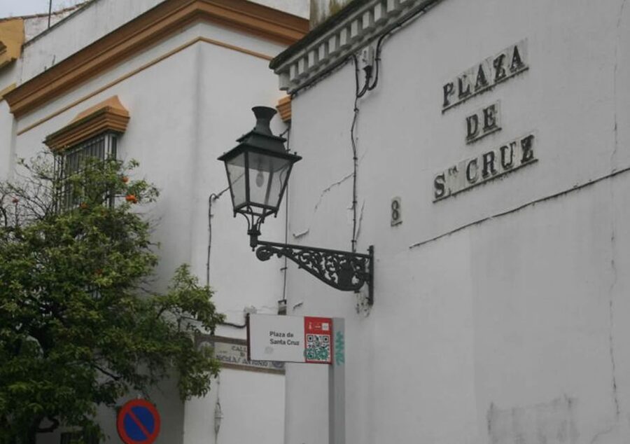 Seville: 1-Hour Walking Tour Barrio de Santa Cruz - Tips for getting more from the route