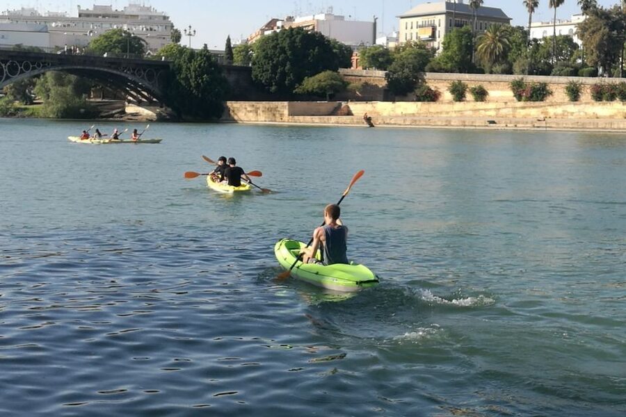 Seville: 2–Hour Guadalquivir River Kayaking Tour - What the guide adds to the experience