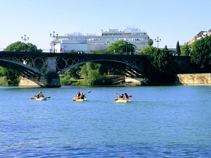 Seville: 2–Hour Guadalquivir River Kayaking Tour - Who will enjoy this most?