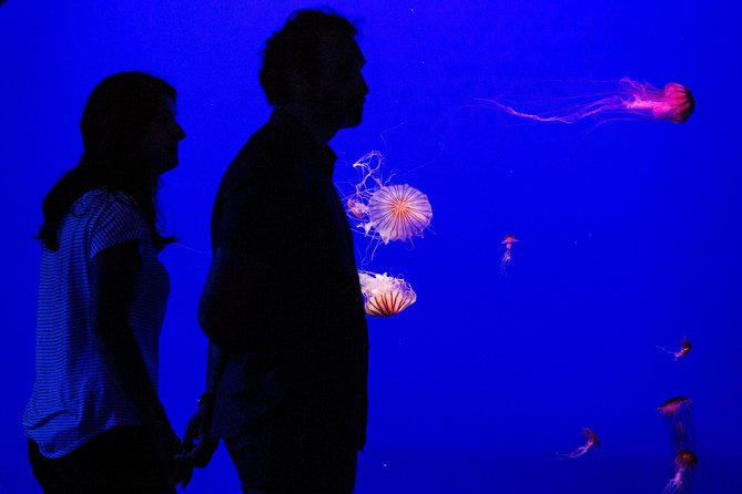 Seville Aquarium Admission Ticket - Following Magellan’s route through five water worlds