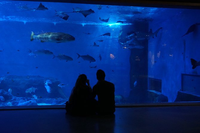 Seville Aquarium Admission Ticket - The Amazon section brings in frogs, snakes, and piranhas