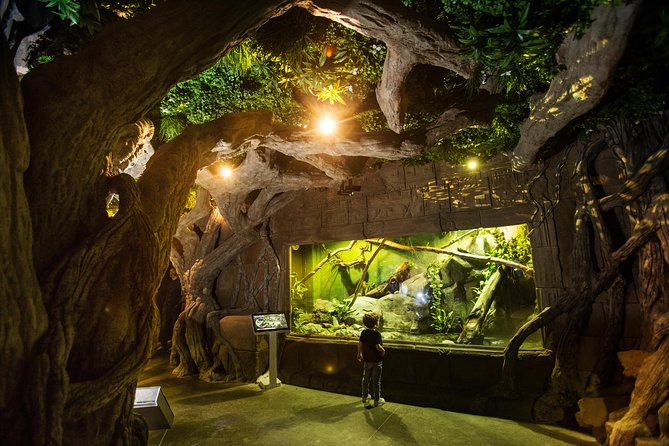 Seville Aquarium Admission Ticket - Why the aquarium works well for families