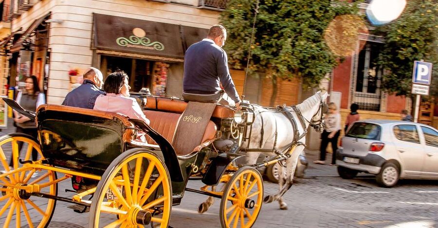Seville: Authentic and Romantic Horse-Drawn Carriage Ride - Key points to know before you book