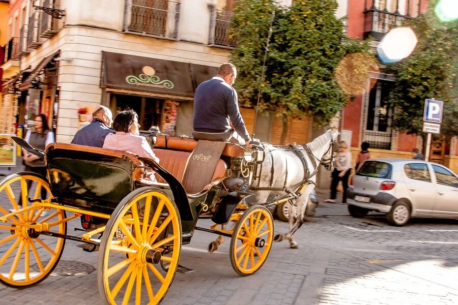 Seville: Authentic and Romantic Horse-Drawn Carriage Ride - What this Seville carriage ride is really like