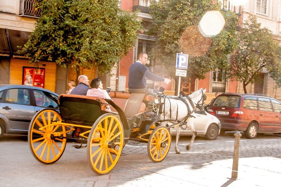 Seville: Authentic and Romantic Horse-Drawn Carriage Ride - Family comfort, romance, and mobility