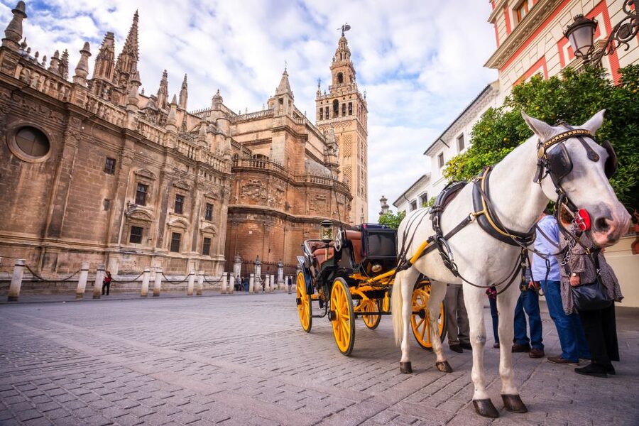 Seville: Authentic and Romantic Horse-Drawn Carriage Ride - What to bring and where to fit it in your day