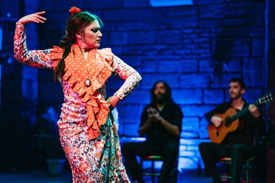 Seville: Baraka Sala Flamenca Show with Drink in Triana - Who will enjoy this show most