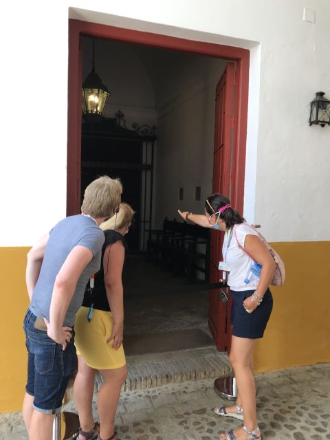 Seville: Bullring Guided Tour with a Skip-the-Line Ticket - Who will enjoy this tour most?