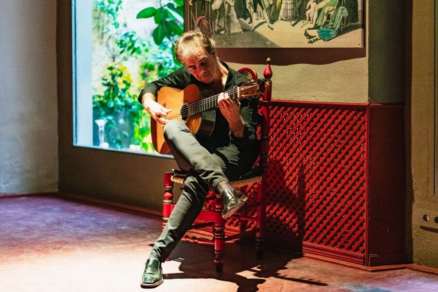 Seville: Casa de la Memoria Flamenco Show - Who will enjoy Casa de la Memoria most?