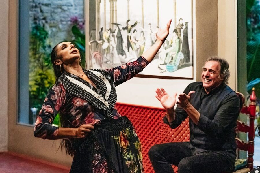 Seville: Casa de la Memoria Flamenco Show - Is $28 a fair price?