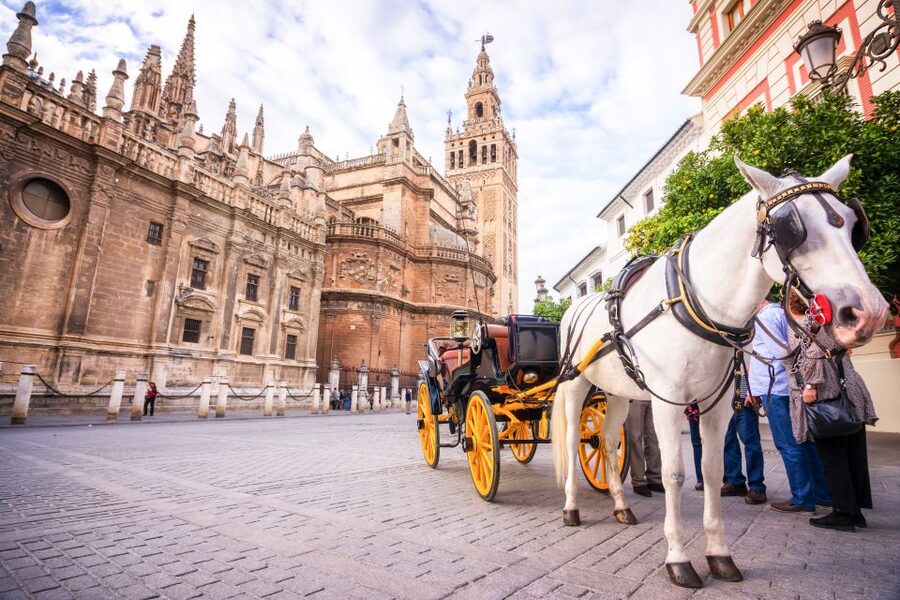 Seville: Cathedral and Alcázar Guided Tour - Key points to know before you book