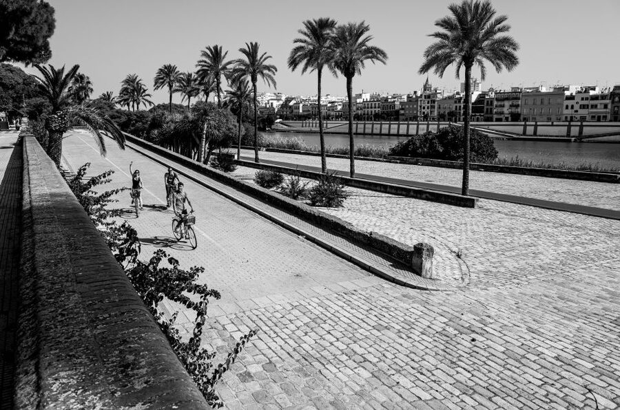 Seville: City Sightseeing and Local Culture Bike Tour - What the $31 price really buys you
