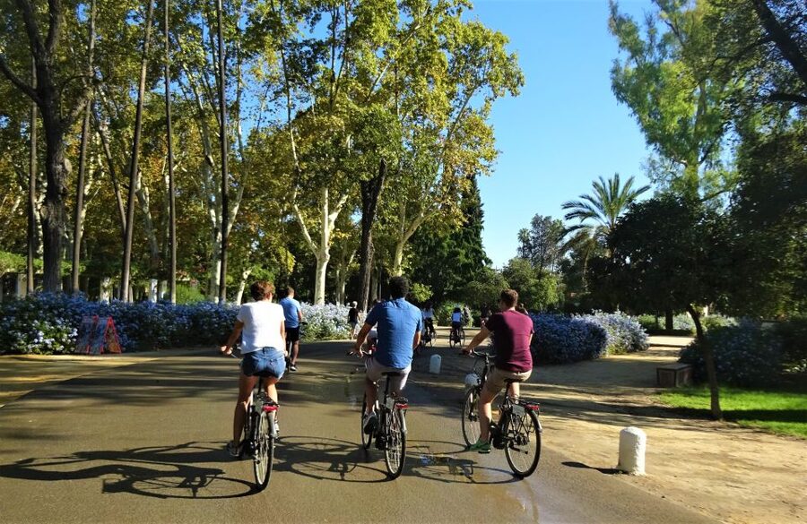 Seville: Electric Bike Tour in Small Group - Triana adds character beyond the postcard sights
