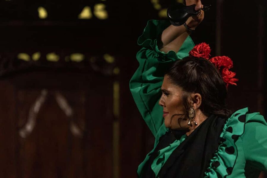 Seville: Flamenco Show at Tablao Almoraima in Triana - The dancers, singer, and guitarist are the main event