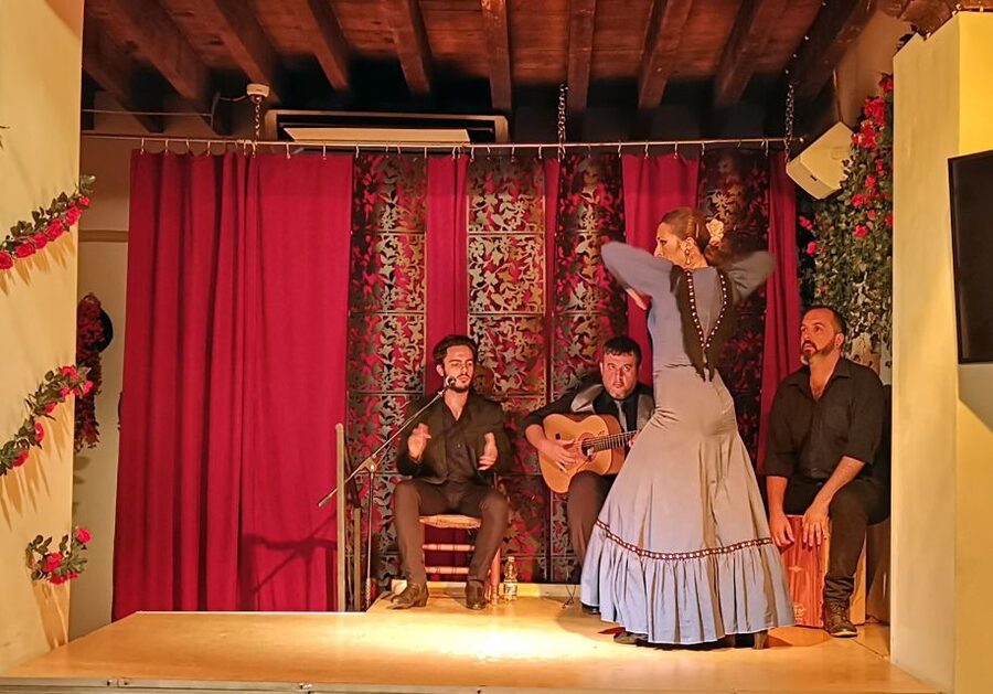 Seville: Flamenco Show at Tablao Flamenco Andalusí - A short introduction before the first guitar chord