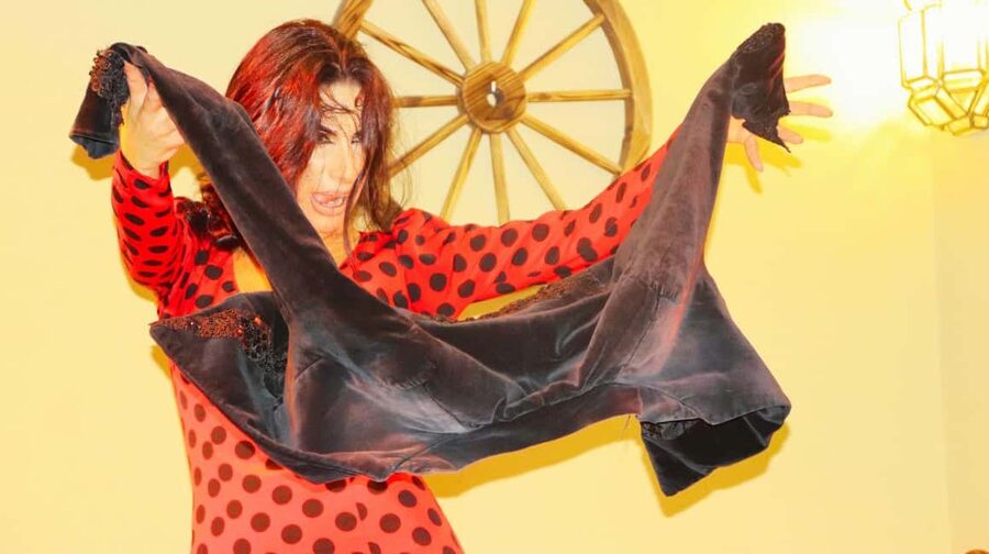 Seville: Flamenco Show at Tablao La Cantaora - Artists With Family Ties to Flamenco