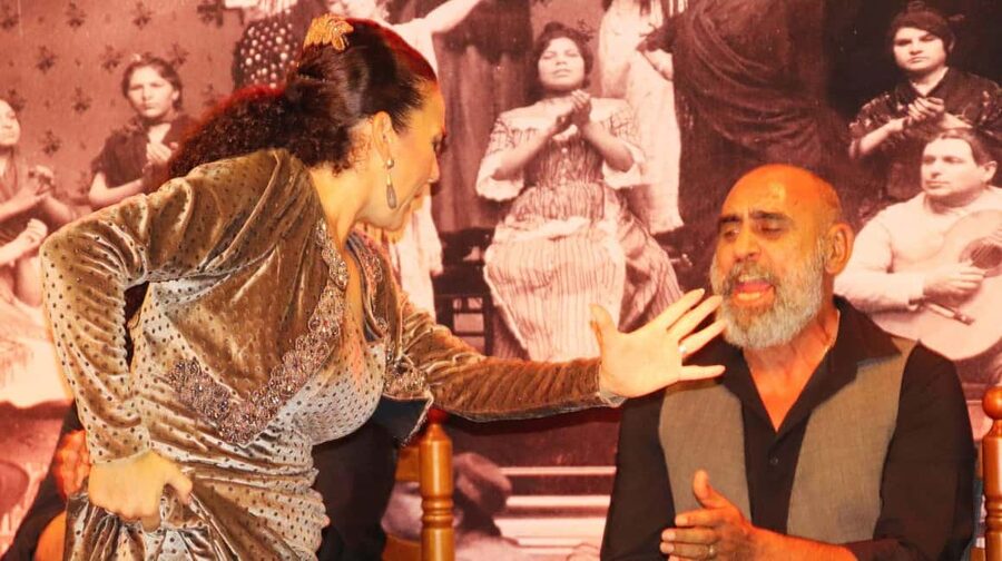 Seville: Flamenco Show at Tablao La Cantaora - A Good Choice After Seville Cathedral