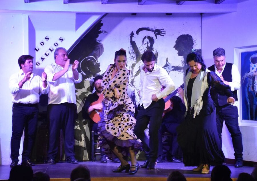 Seville: Flamenco Show at Tablao Los Gallos - What the award and praise tell you