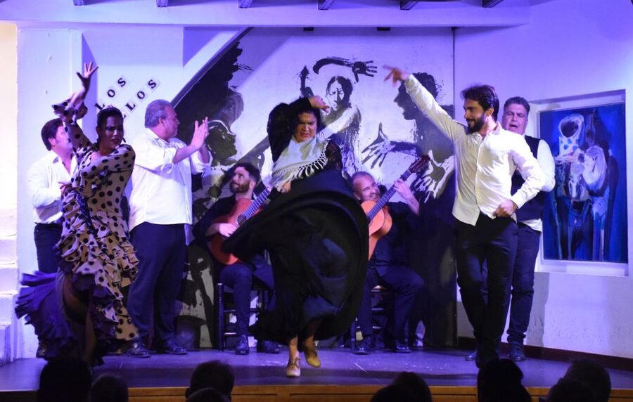 Seville: Flamenco Show at Tablao Los Gallos - Useful planning advice for your evening