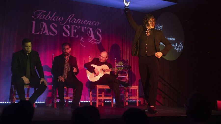 Seville: Flamenco Show & Roof Dinner with Cathedral Views - Five things to know before booking