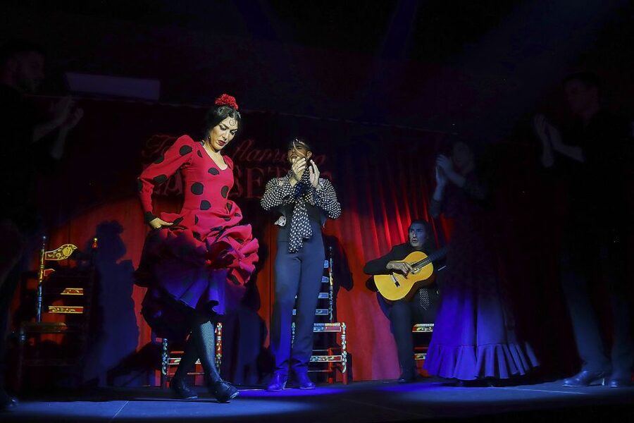 Seville: Flamenco Show Ticket at Tablao Flamenco Las Setas - Is the show suitable for families and first-time visitors?