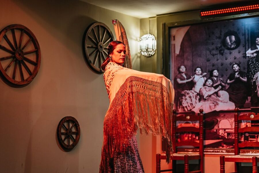 Seville: Flamenco Show with Andalusian Dinner at La Cantaora - Is $79 per person good value?