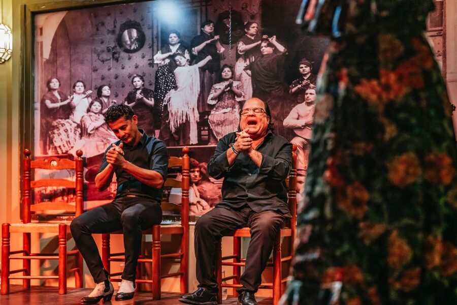 Seville: Flamenco Show with Andalusian Dinner at La Cantaora - Should you book the show with dinner?