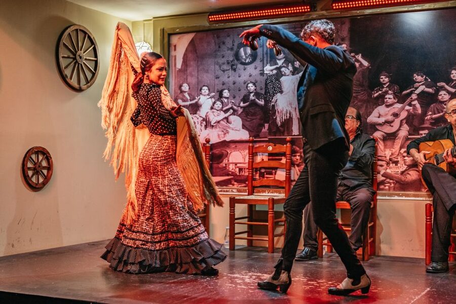 Seville: Flamenco Show with Andalusian Dinner at La Cantaora - What the one-hour flamenco performance feels like