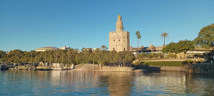 Seville: Guadalquivir Boat Tour with Optional Lunch/Dinner - Who should book this boat tour?