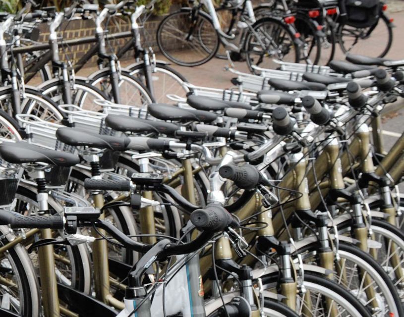 Seville: Guided Tour by Electric Bike - Why Seville works so well by bicycle