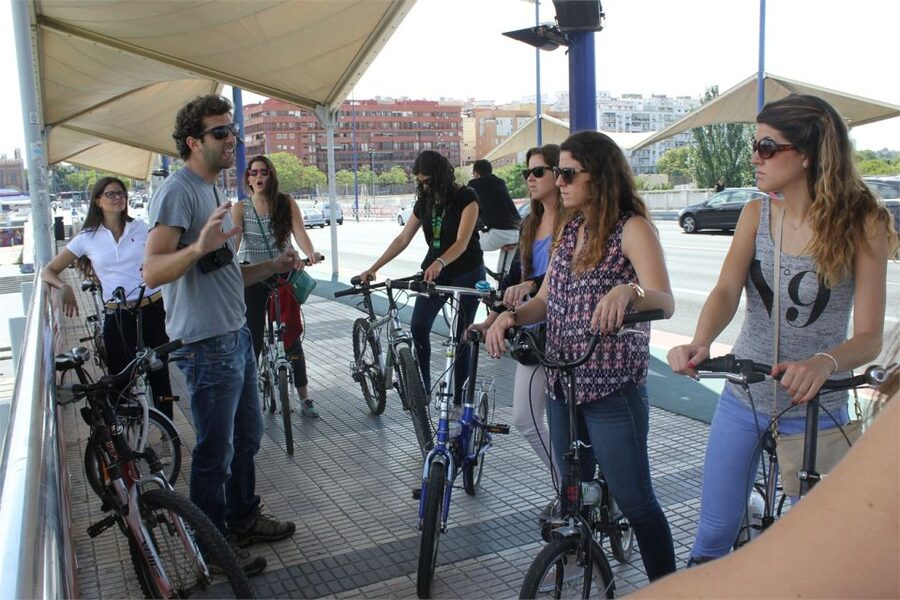 Seville: Highlights Bike Tour with Local Guide - Torre del Oro and San Telmo Palace