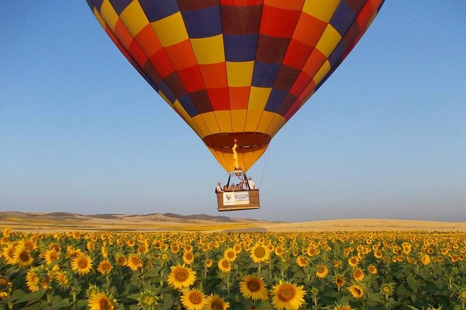 Seville Hot-Air Balloon Ride with Breakfast, Cava & Hotel Pick up - Key things to know before booking
