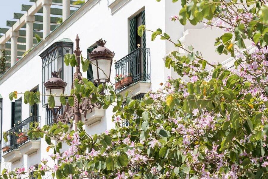 Seville Jewish Quarter walking tour: Santa Cruz District - Plaza de Doña Elvira brings the romance